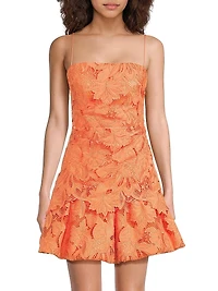 Rhea Lace Minidress