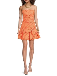 Rhea Lace Minidress