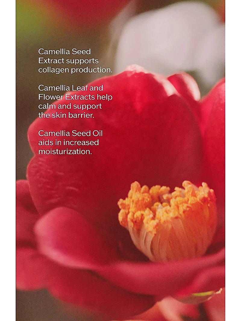 Ultimune Power Infusing Serum