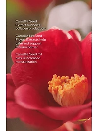 Ultimune Power Infusing Serum