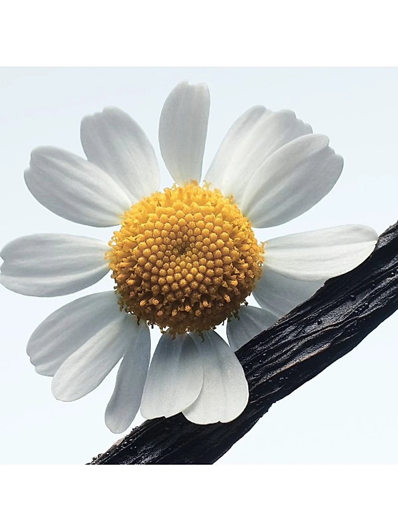 Camomille Satin Eau de Parfum