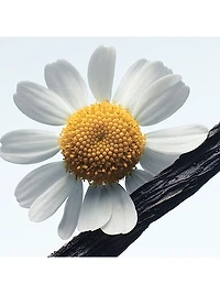 Camomille Satin Eau de Parfum