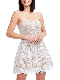 Sasha Lace Strapless Fit & Flare Minidress