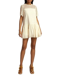 Gabi Embroidered Mini Shift Dress