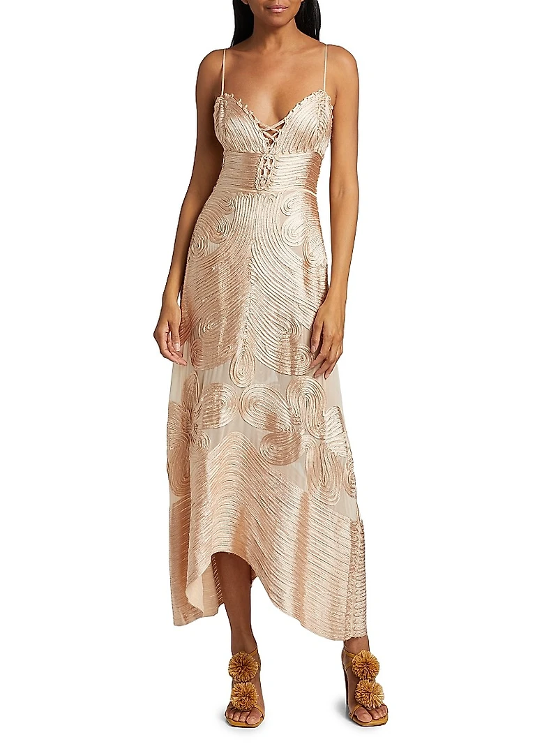 Vesna Embroidered Silk Georgette Midi-Dress