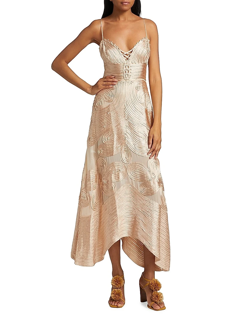 Vesna Embroidered Silk Georgette Midi-Dress