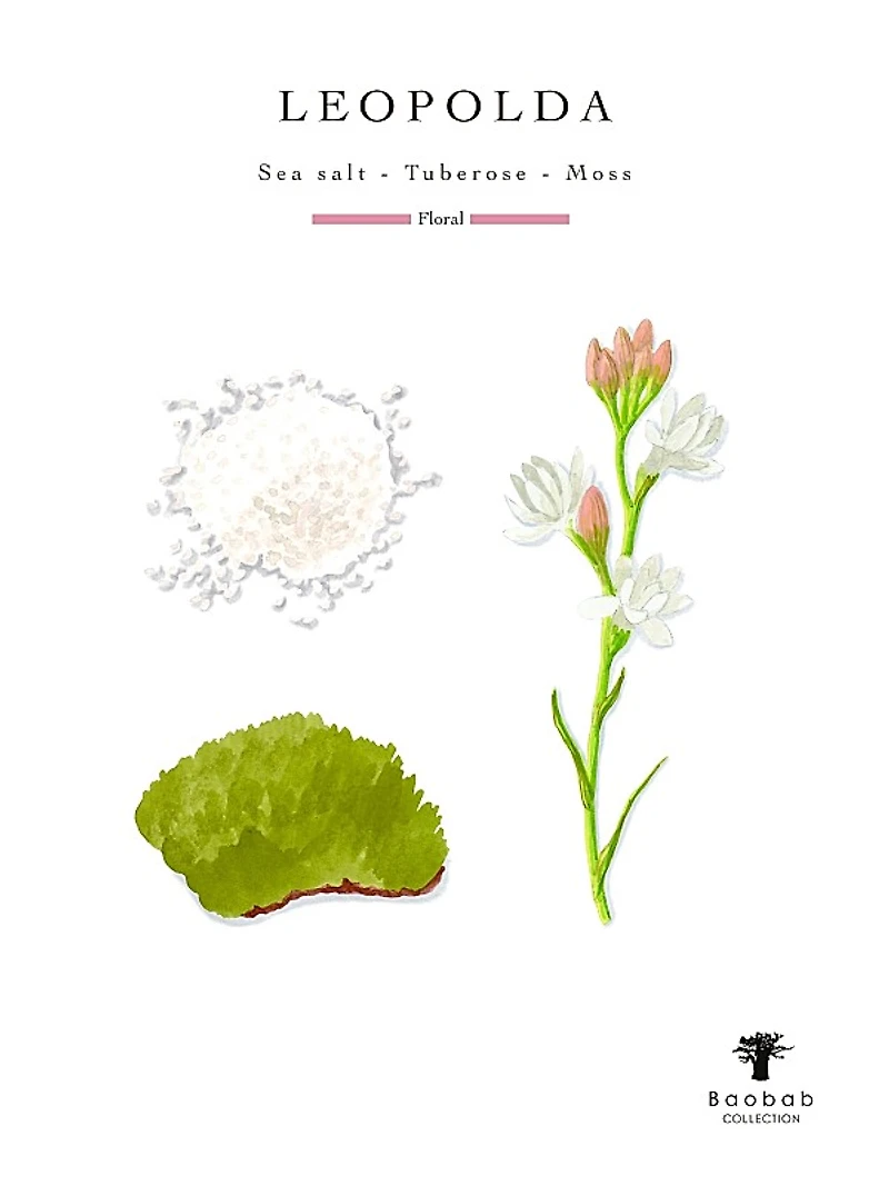 Riviera Leopolda Candle