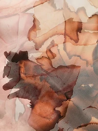 Printed Organza Shift Dress