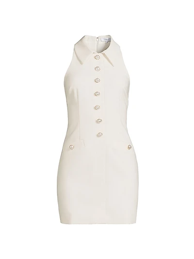 Amaya Sleeveless Minidress