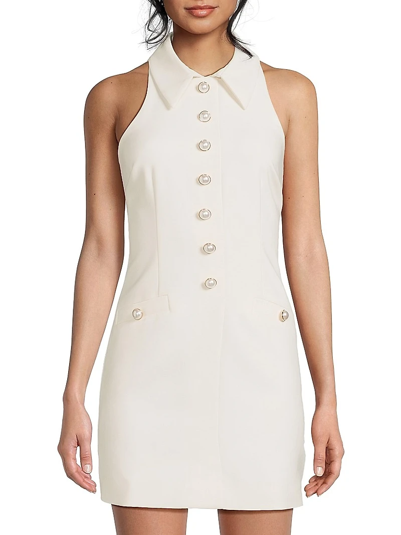 Amaya Sleeveless Minidress