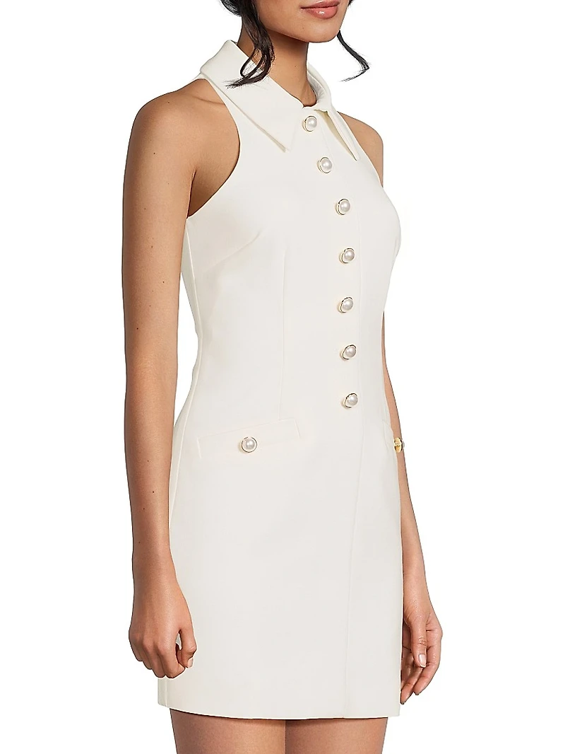 Amaya Sleeveless Minidress