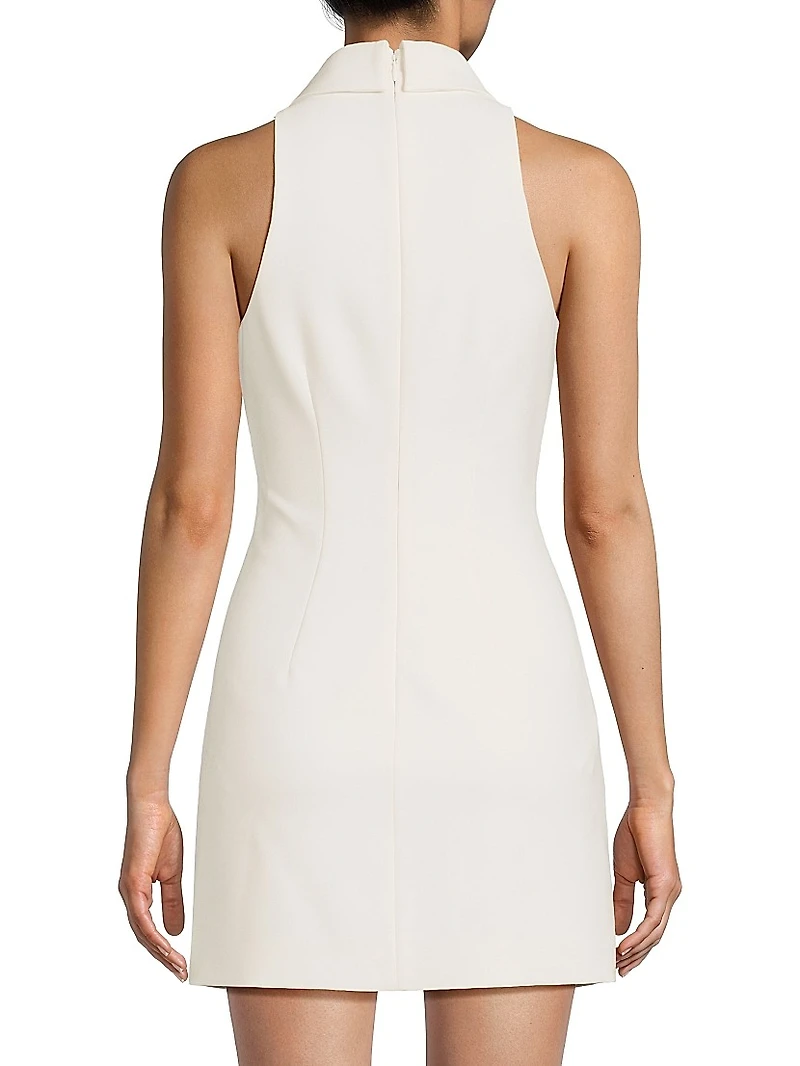 Amaya Sleeveless Minidress