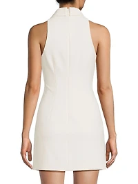 Amaya Sleeveless Minidress