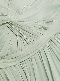 Chiffon Embellished Pleated Gown