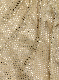 Metallic Voile Cape Body-Con Gown