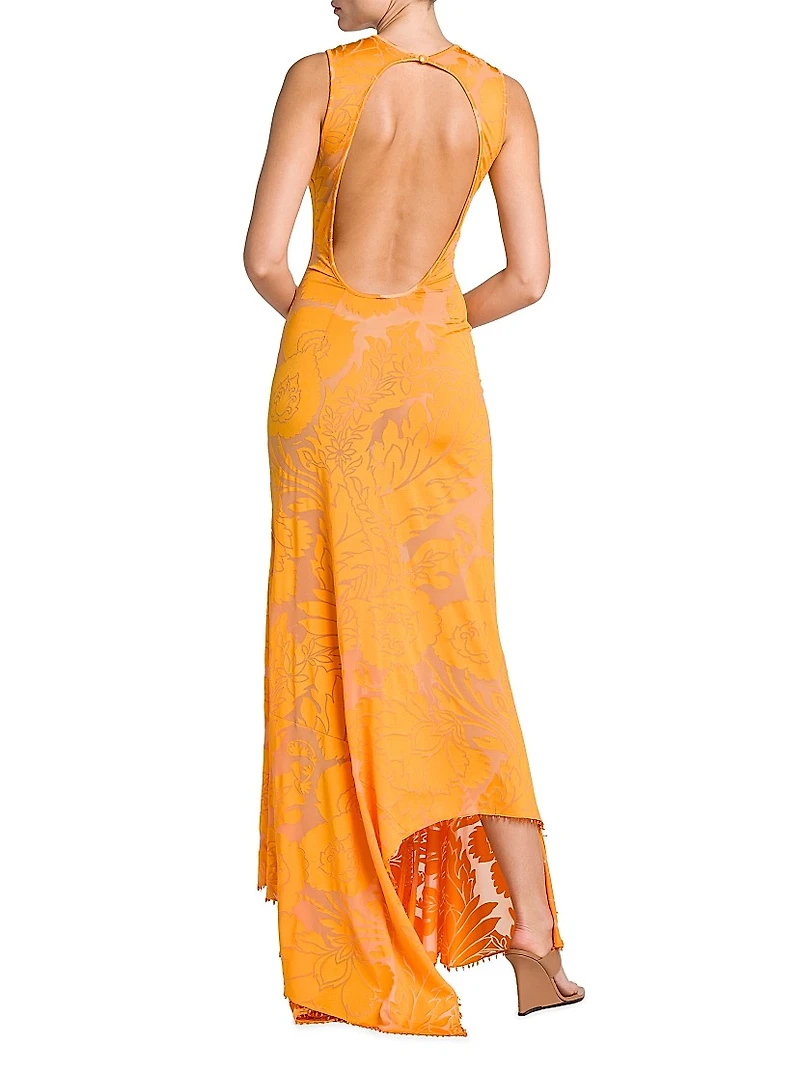 Burnout Floral Sleeveless Maxi Dress