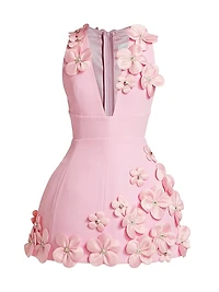 Estelle Floral Applique Minidress