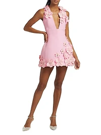 Estelle Floral Applique Minidress