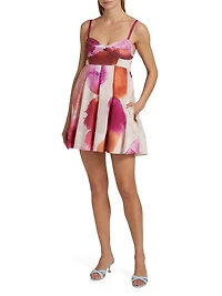 Allison Printed Minidress
