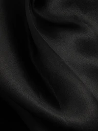 Silk Organza Wide-Leg Pants