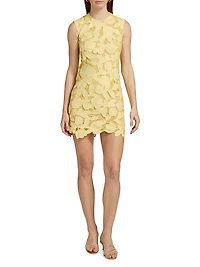 Mickie Lace Sheath Minidress