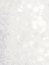 Lollie Sequined A-Line Minidress
