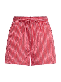 The Boxer Pinstriped Cotton Shorts