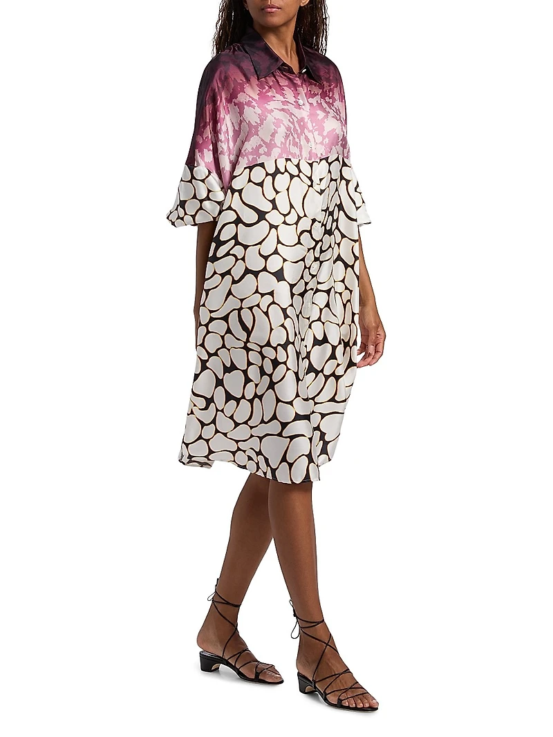 Dasia Printed Silk Shirtdress