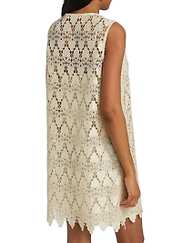 The Deco Lace Minidress