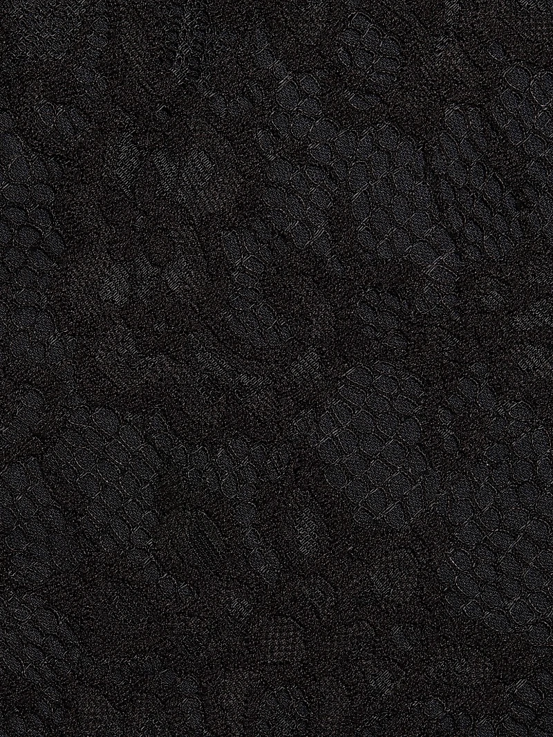 Lace Off-the-Shoulder Top