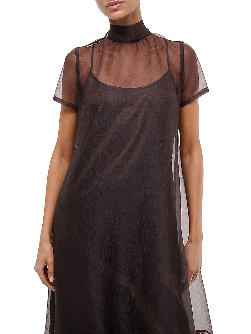 Calluna Organza Maxi Dress