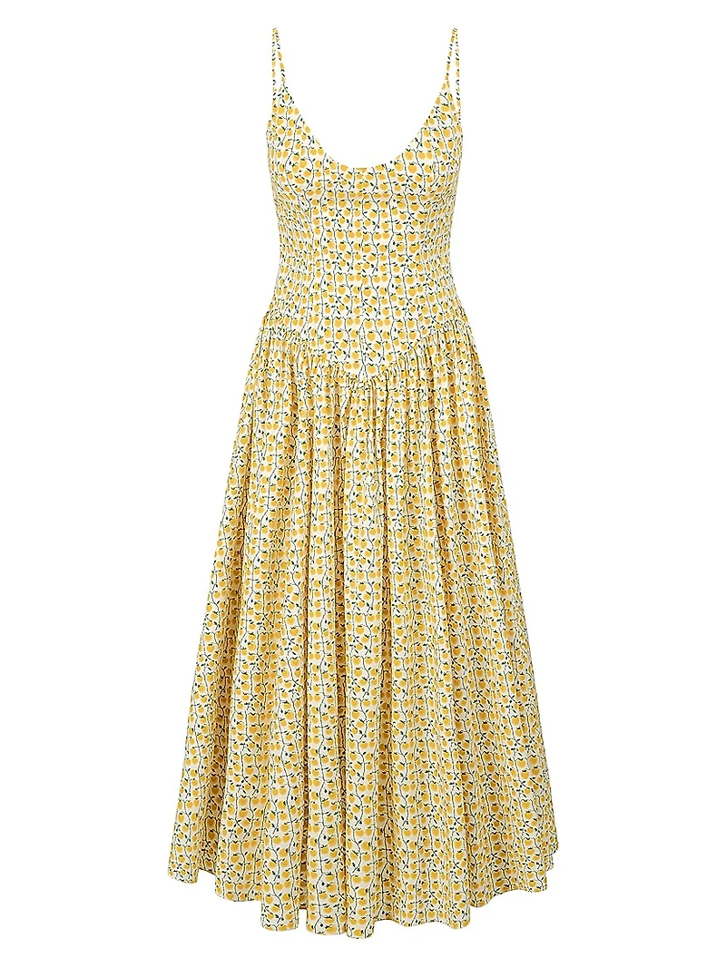 Dena Lemon Print Poplin Maxi Dress