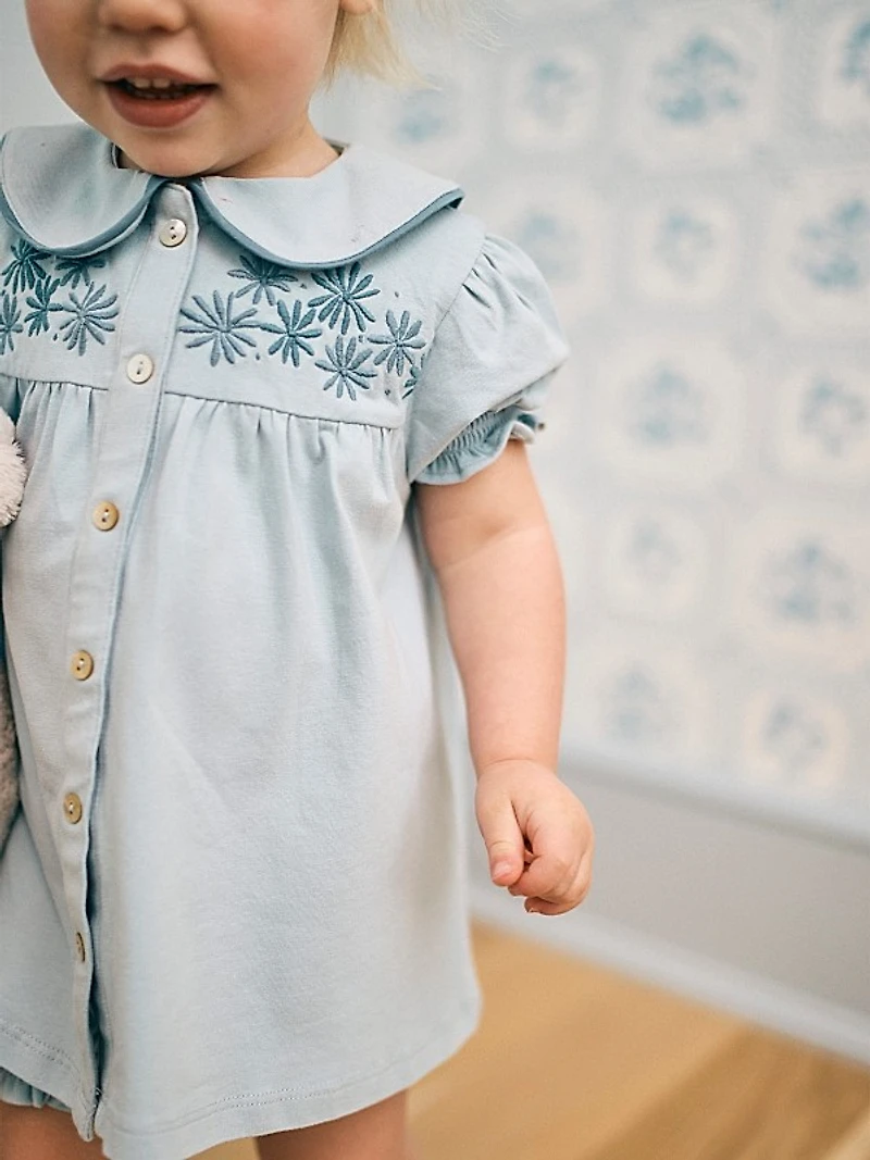Baby Girl's & Little Girl's Lexi 2-Piece Dress & Bloomers Set