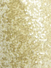 Shimmer Sequin Miniskirt