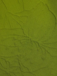 Embossed Cherry Blossom Knit Minidress