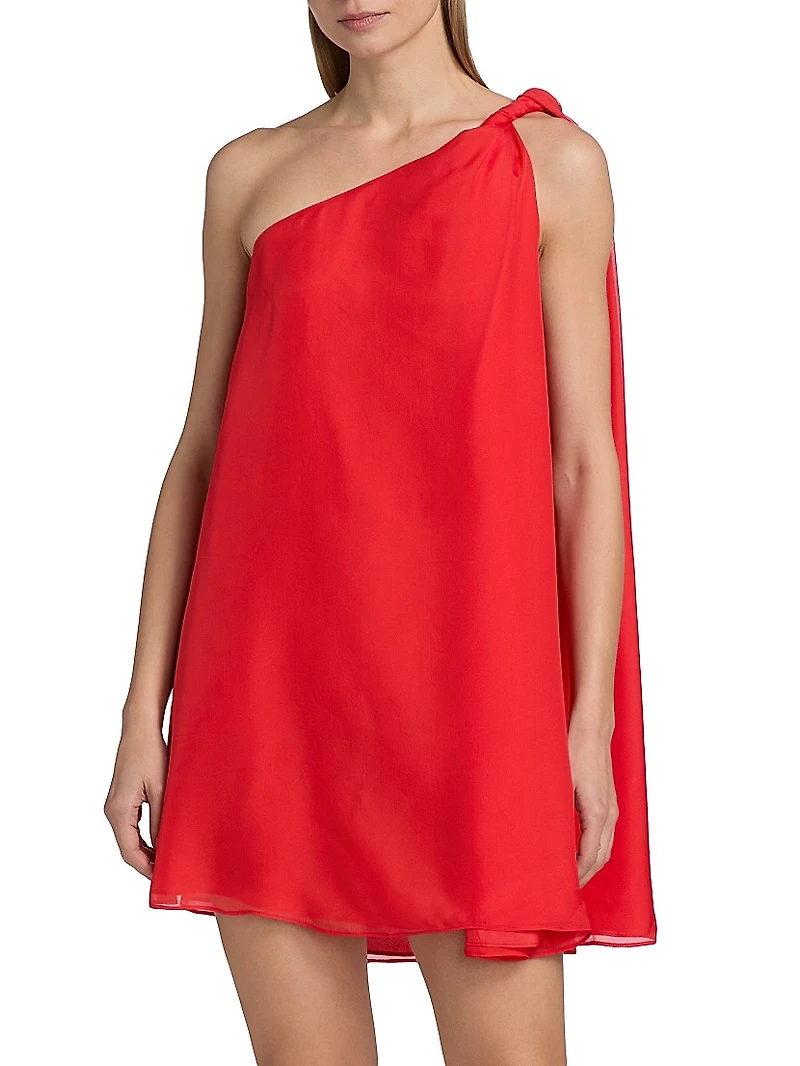 Rodite Chiffon Braided Belt Minidress