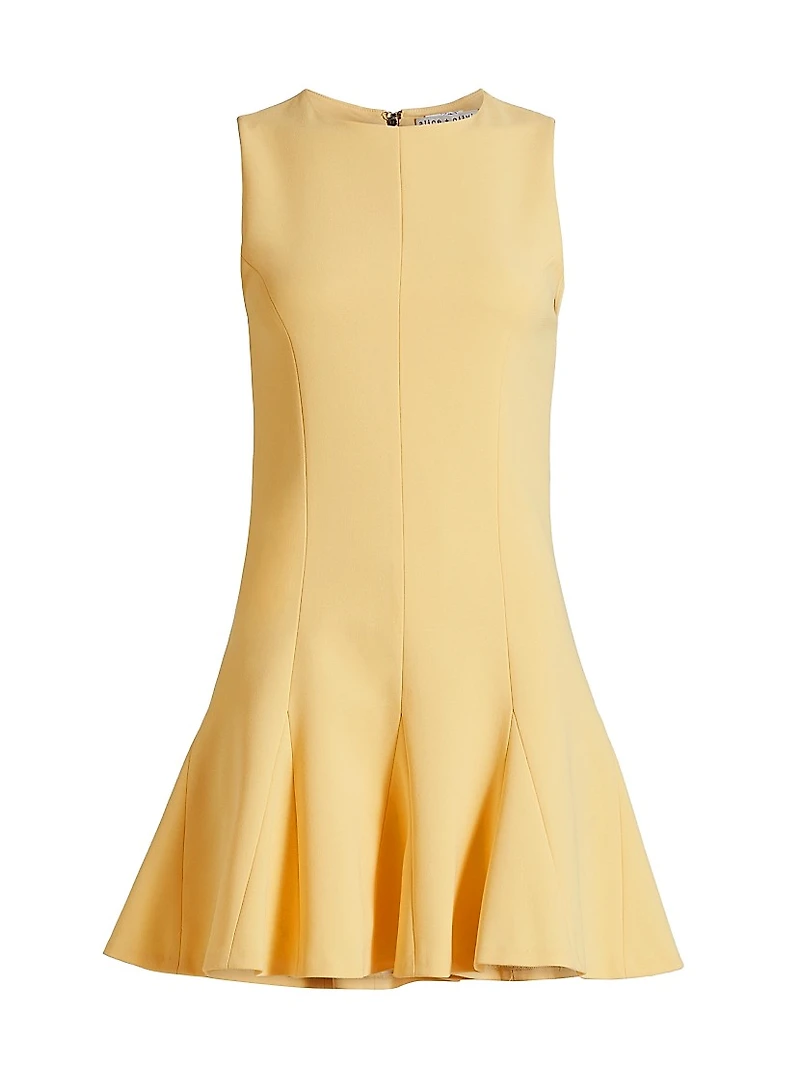 Isa Crewneck Flare Minidress