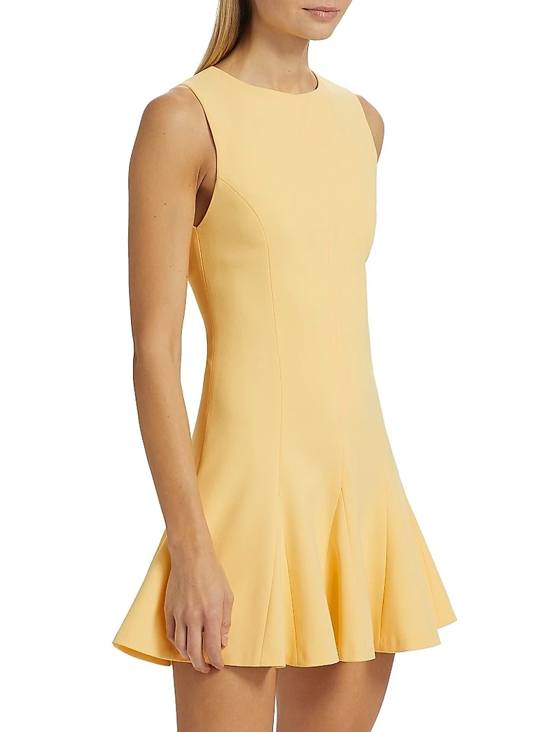 Isa Crewneck Flare Minidress