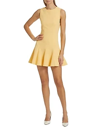 Isa Crewneck Flare Minidress