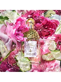 Aqua Allgeoria Rosa Verde Eau de Parfum