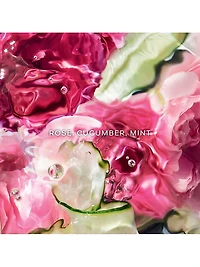 Aqua Allgeoria Rosa Verde Eau de Parfum