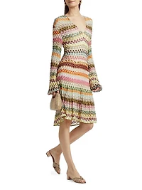 Raschel Lace Chevron Long-Sleeve Dress