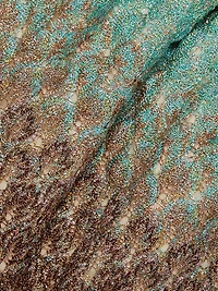 Raschel Lace Degradé Minidress