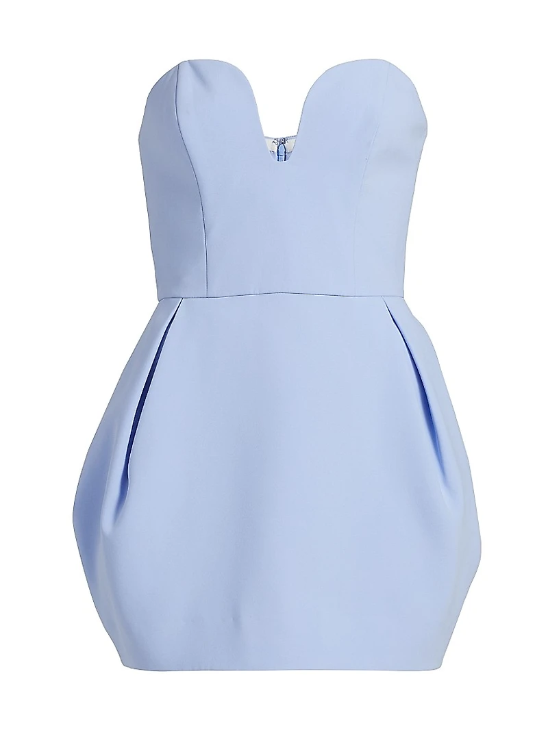 Rosiella Strapless Minidress