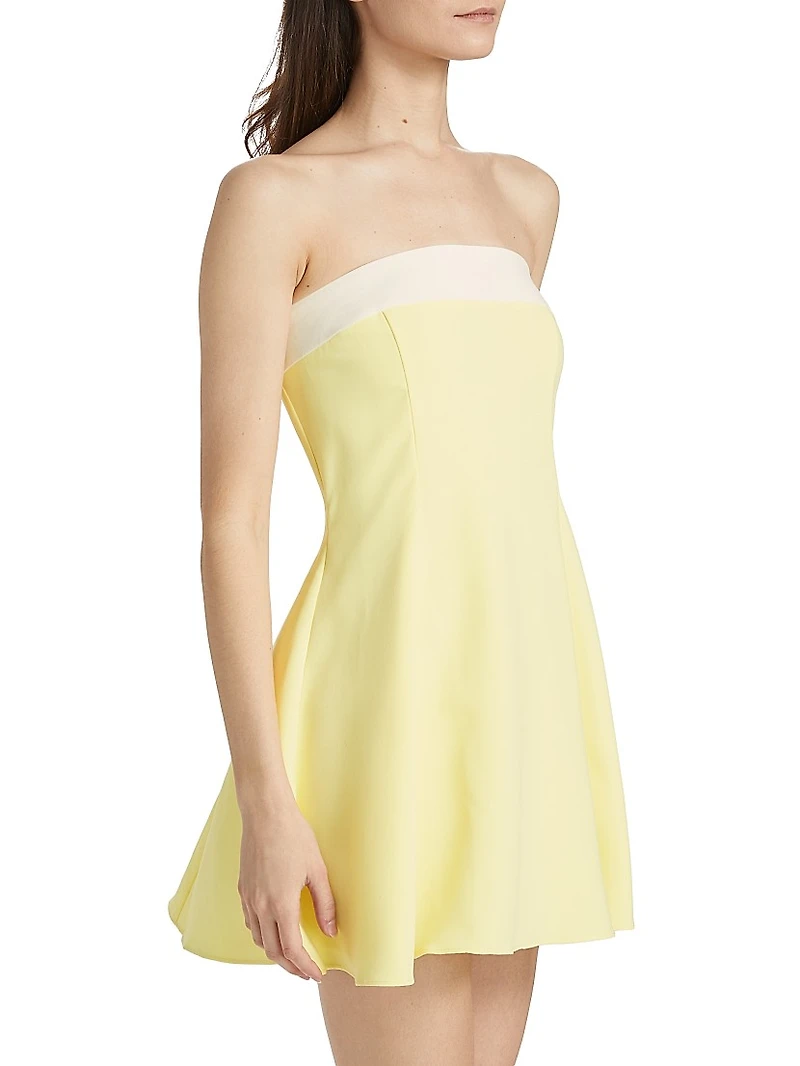 Kerielle Strapless Minidress