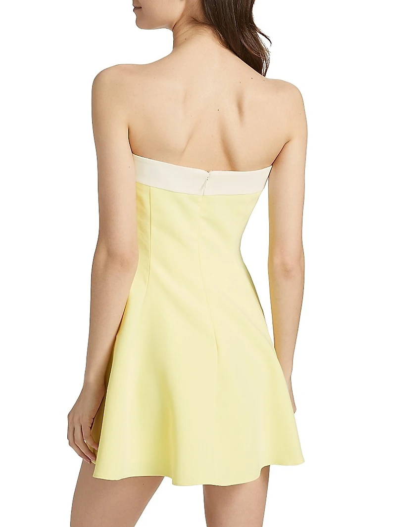 Kerielle Strapless Minidress