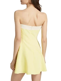 Kerielle Strapless Minidress