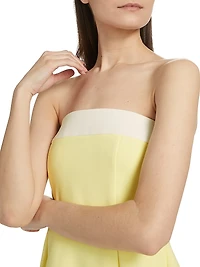 Kerielle Strapless Minidress