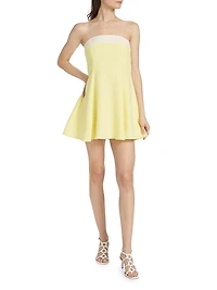 Kerielle Strapless Minidress