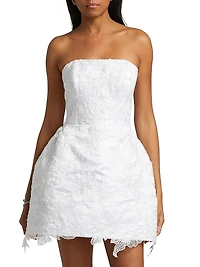 Sarah Lace Minidress